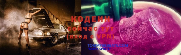 сатива Кодинск