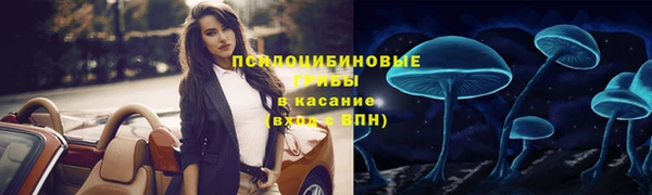 амф Козельск