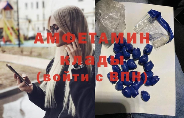 сатива Кодинск