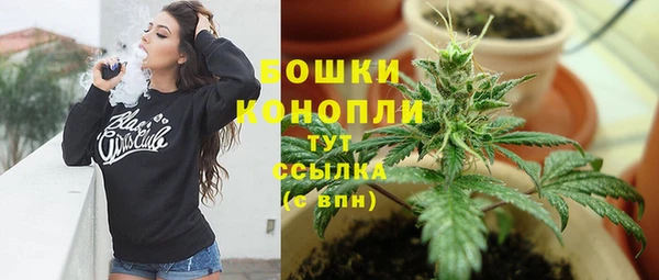 сатива Кодинск