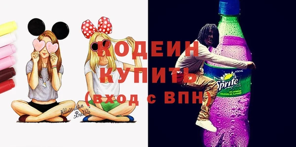 амф Козельск