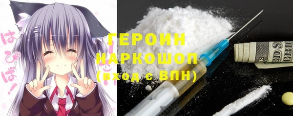 гашик Корсаков