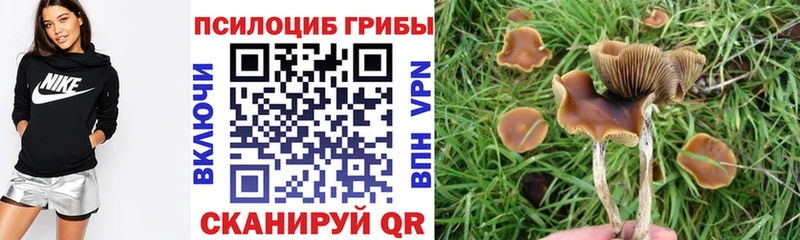 Купить где  Балашиха  Псилоцибиновые грибы Magic Shrooms